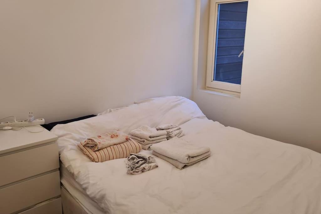 Appartamento Groot Mooi 2 Etage Loft Met Dakterras In De Pijp. Amsterdam